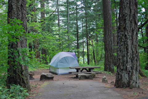 Eagle Creek Campground, Columbia River Gorge, Oregon